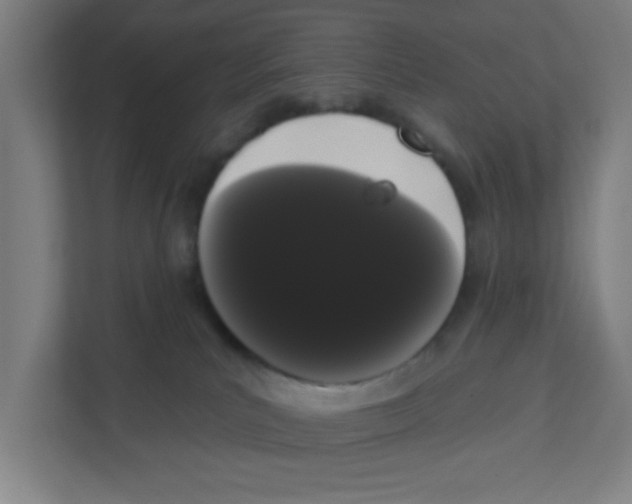 X0000111460039200908101103