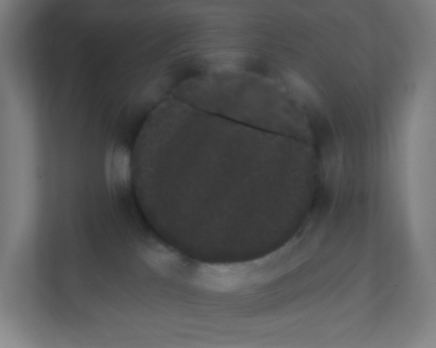 X0000111460041200908101103