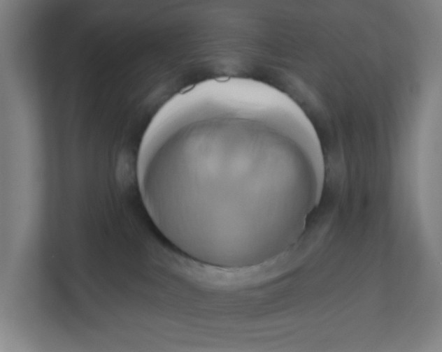 X0000111460043200908101103
