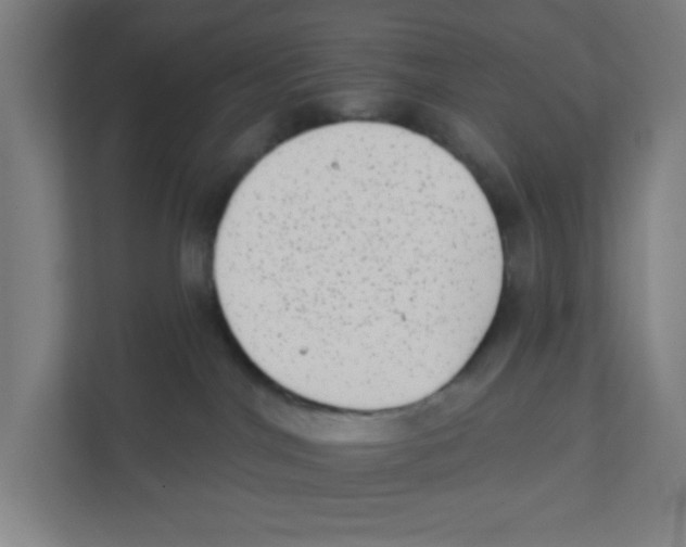 X0000111460044200908101103