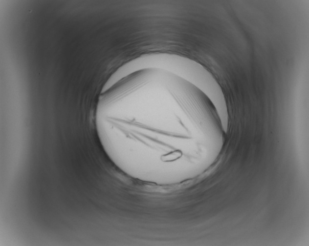 X0000111460045200908101103
