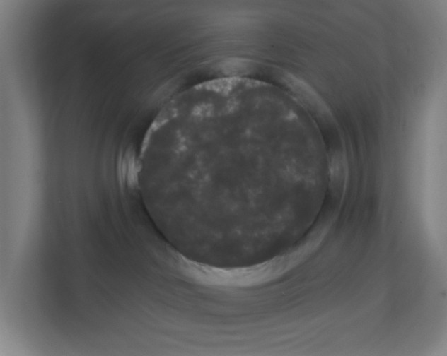 X0000111460046200908101103