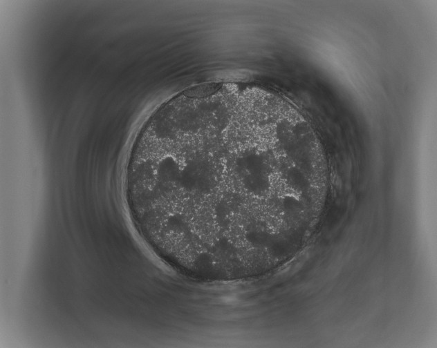 X0000111460049200908101102