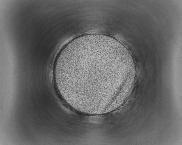 X0000111460050200908101102