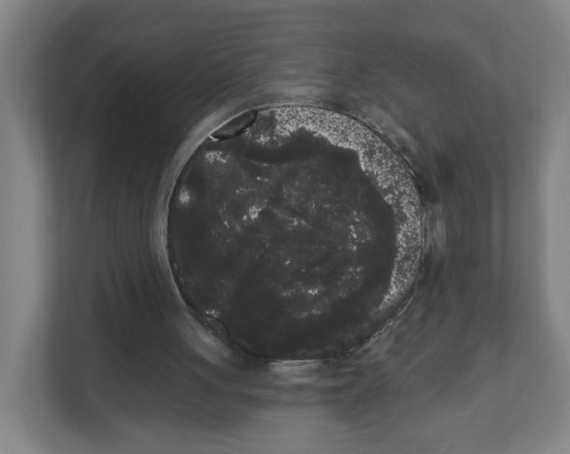 X0000111460051200908101102