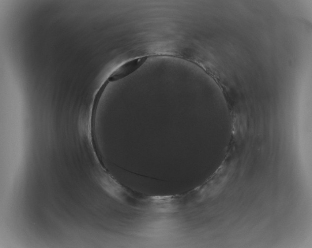 X0000111460052200908101103