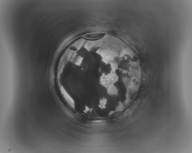 X0000111460053200908101103