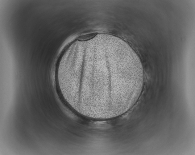 X0000111460054200908101103