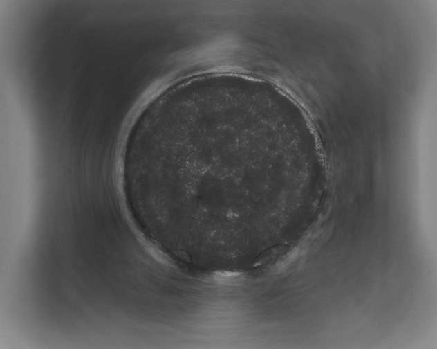X0000111460055200908101103