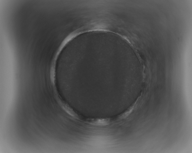X0000111460056200908101103