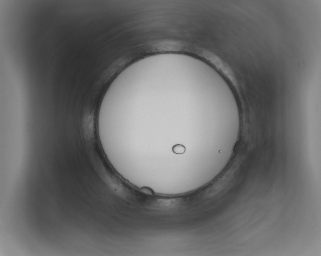X0000111460057200908101103