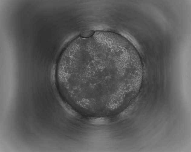 X0000111460058200908101103