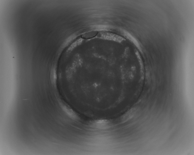 X0000111460059200908101103