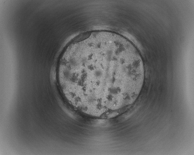 X0000111460060200908101103