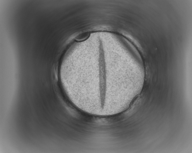X0000111460062200908101103