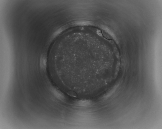 X0000111460063200908101103