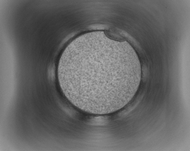 X0000111460064200908101103