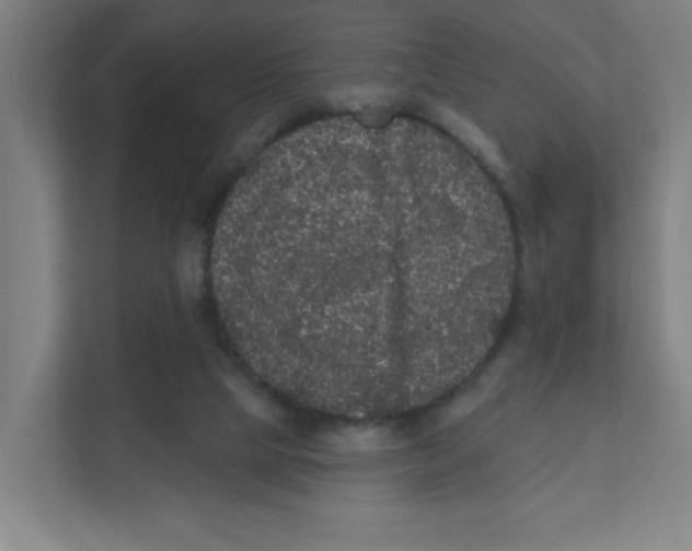 X0000111460065200908101103