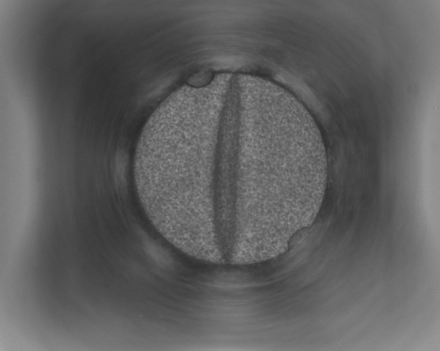 X0000111460066200908101103