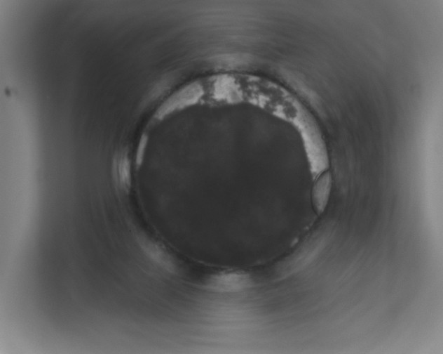 X0000111460067200908101103