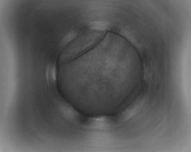 X0000111460068200908101103