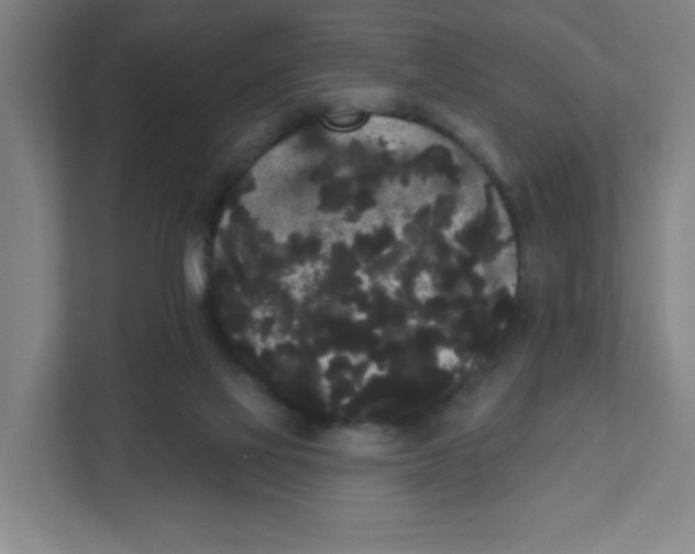 X0000111460069200908101103