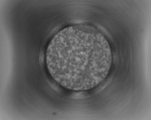 X0000111460072200908101103