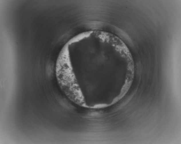 X0000111460073200908101103