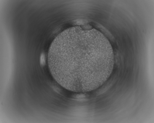 X0000111460075200908101103