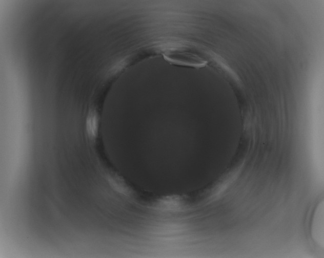 X0000111460076200908101103