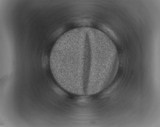 X0000111460077200908101103