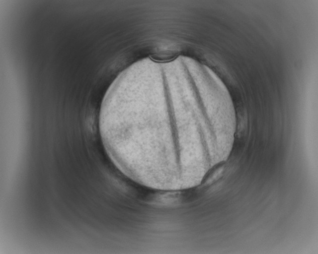X0000111460078200908101103