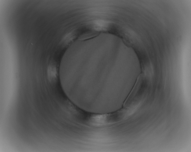 X0000111460084200908101103