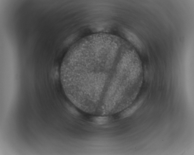 X0000111460085200908101103
