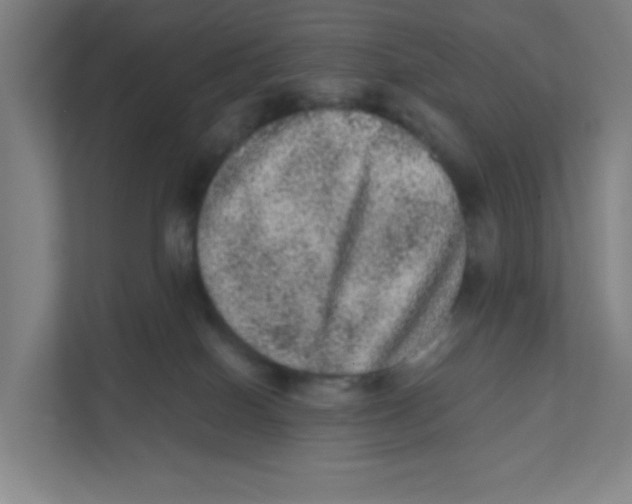 X0000111460086200908101103