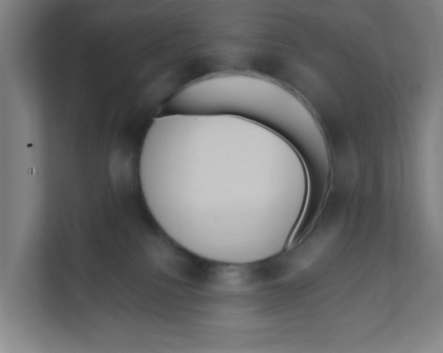 X0000111460088200908101103