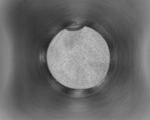 X0000111460090200908101103