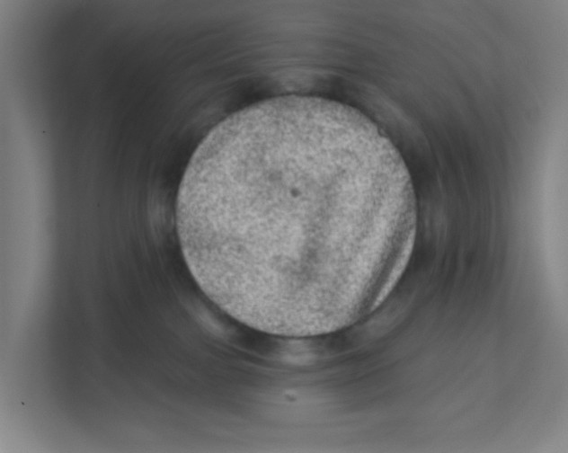 X0000111460091200908101103