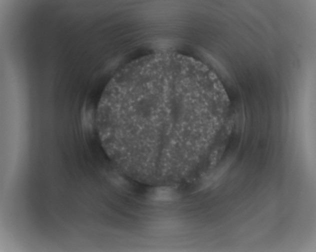 X0000111460093200908101103