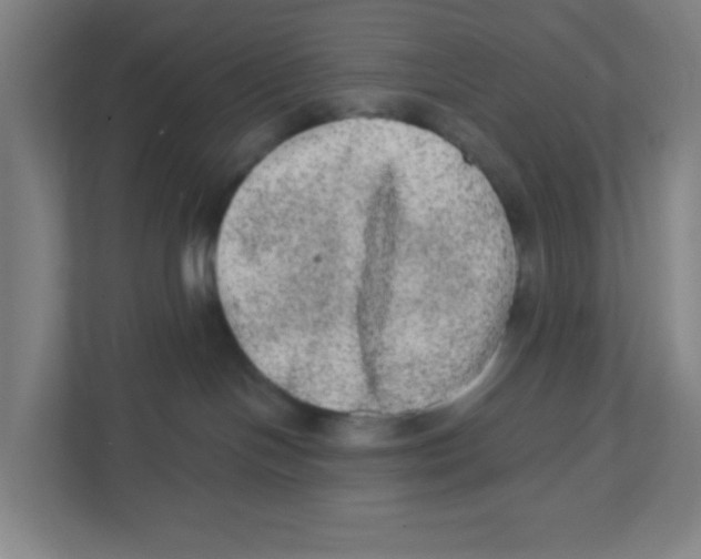 X0000111460094200908101103