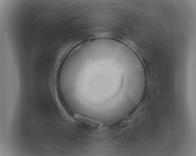 X0000111460097200908101102
