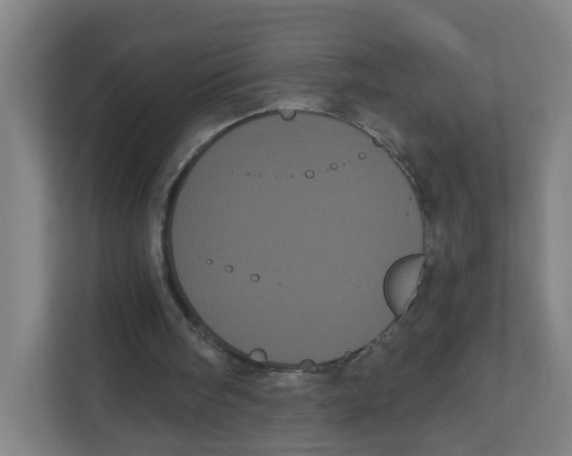 X0000111460098200908101102