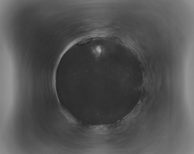 X0000111460100200908101102