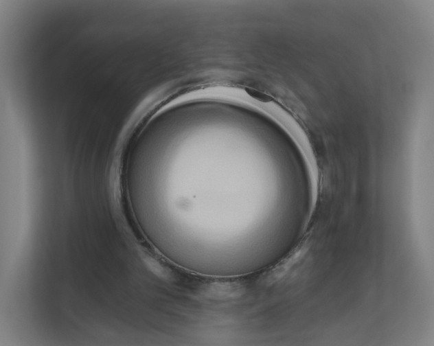 X0000111460101200908101102