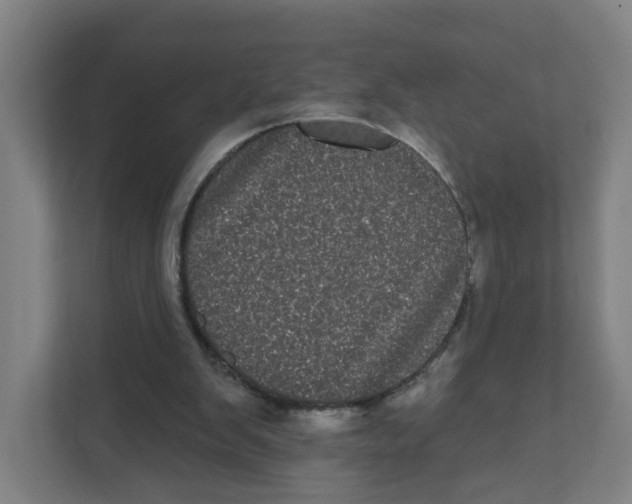 X0000111460103200908101102