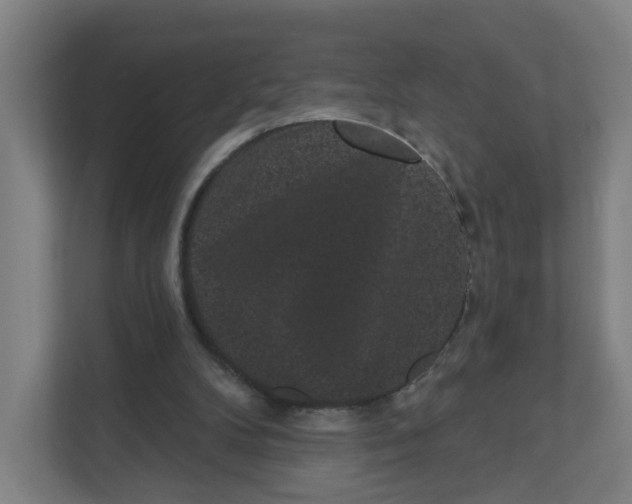 X0000111460104200908101102