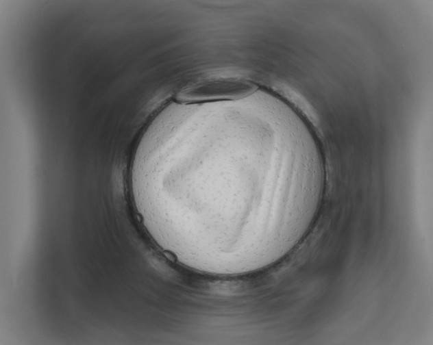X0000111460105200908101102