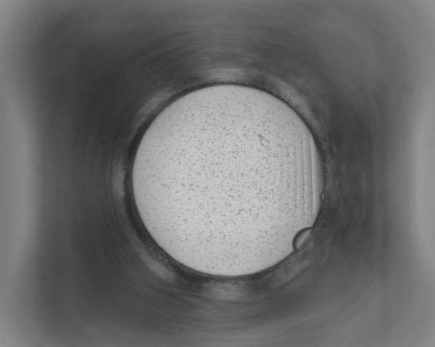 X0000111460106200908101102