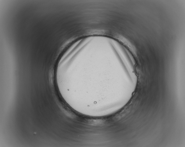 X0000111460107200908101102