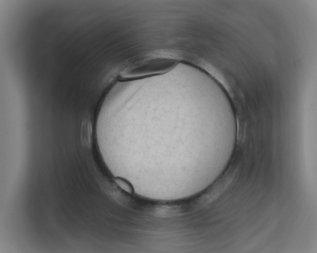 X0000111460109200908101102